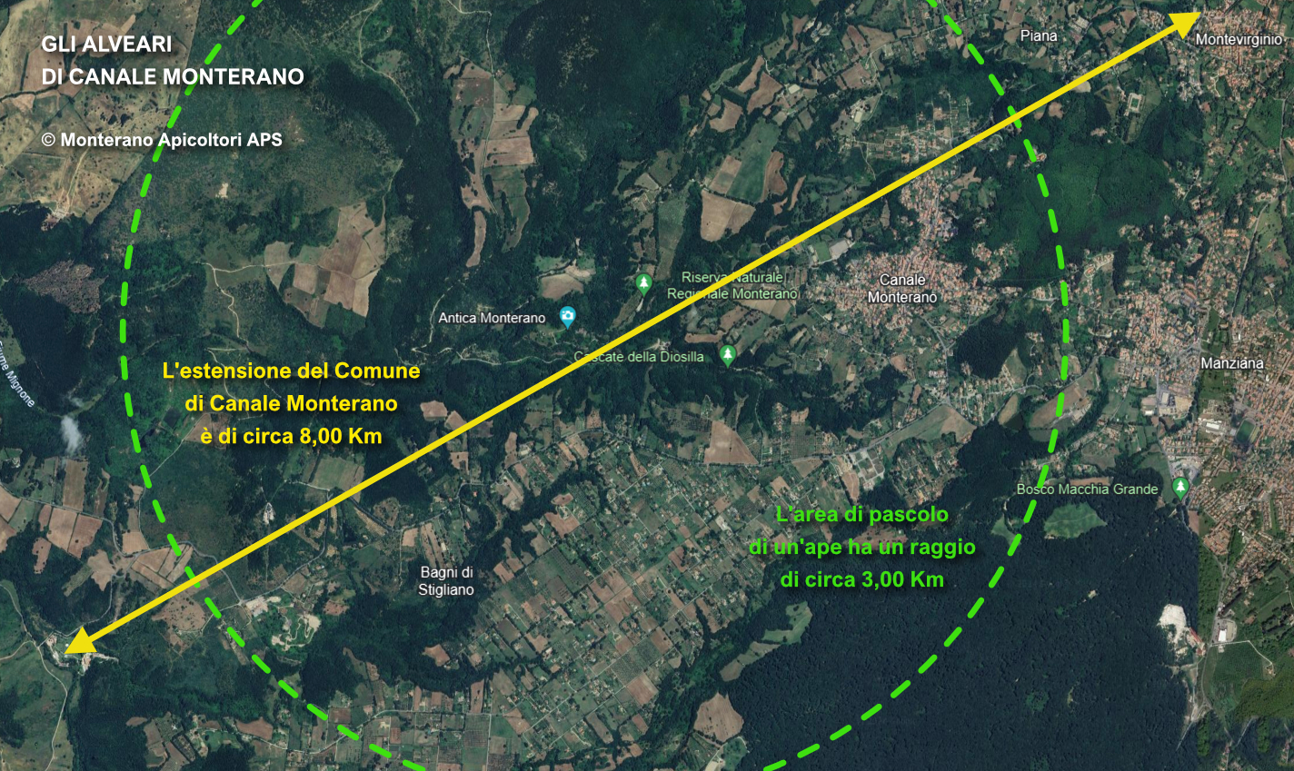 la mappa degli apiari di Canale Monterano